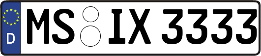 MS-IX3333