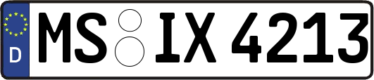 MS-IX4213