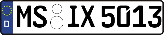 MS-IX5013