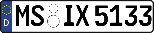 MS-IX5133