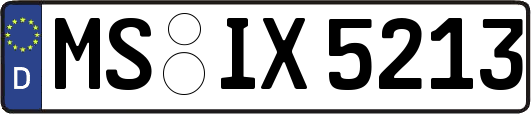 MS-IX5213