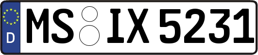 MS-IX5231