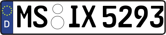 MS-IX5293