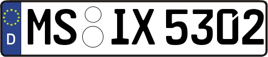 MS-IX5302