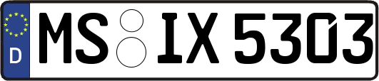 MS-IX5303