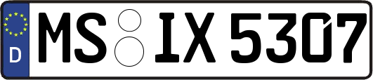 MS-IX5307