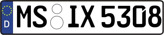 MS-IX5308