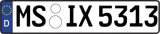 MS-IX5313