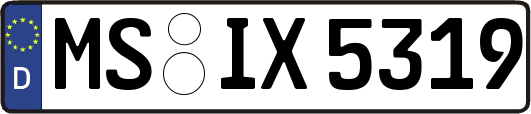 MS-IX5319