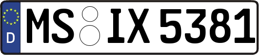 MS-IX5381