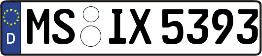 MS-IX5393