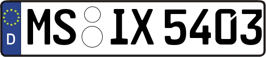 MS-IX5403
