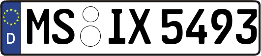 MS-IX5493
