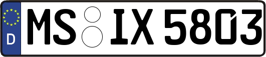 MS-IX5803