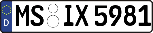 MS-IX5981