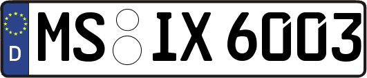MS-IX6003