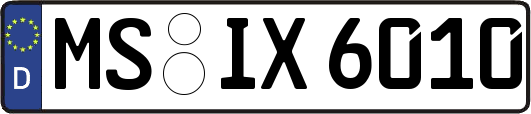 MS-IX6010