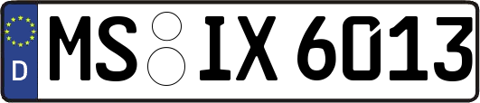 MS-IX6013