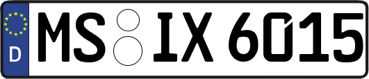 MS-IX6015