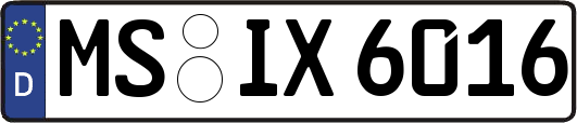 MS-IX6016