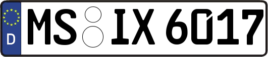 MS-IX6017