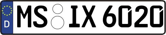 MS-IX6020