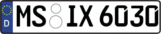 MS-IX6030