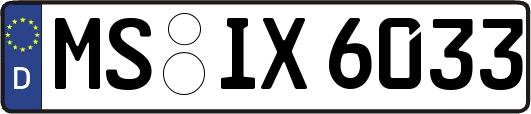 MS-IX6033