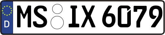 MS-IX6079