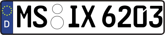 MS-IX6203