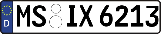 MS-IX6213