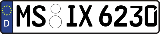 MS-IX6230