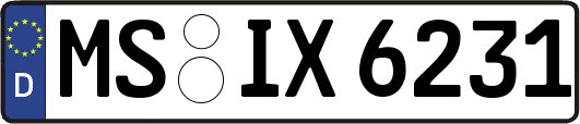 MS-IX6231