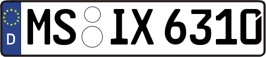 MS-IX6310