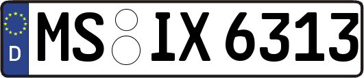 MS-IX6313