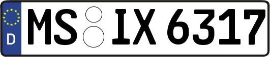 MS-IX6317