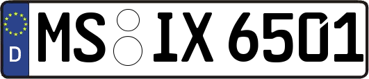 MS-IX6501