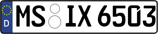 MS-IX6503