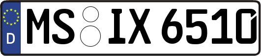 MS-IX6510