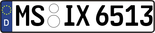 MS-IX6513