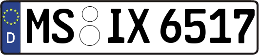 MS-IX6517
