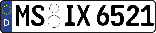 MS-IX6521