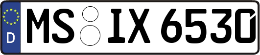 MS-IX6530