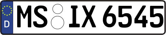 MS-IX6545