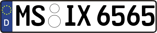 MS-IX6565