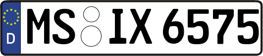 MS-IX6575