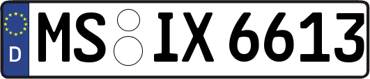 MS-IX6613