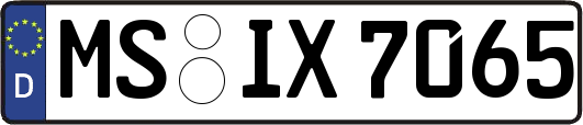 MS-IX7065