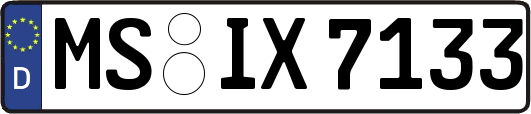 MS-IX7133