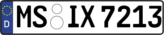 MS-IX7213